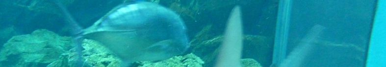 ベビーカー 保冷シートに関してのニュース