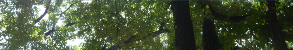 カビナイトNeoとはなんなのか？