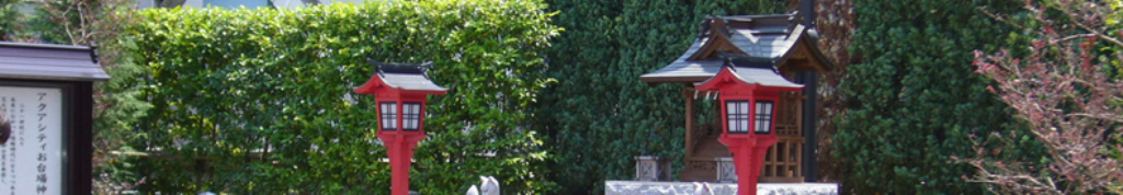 アイランドスリッパについての噂