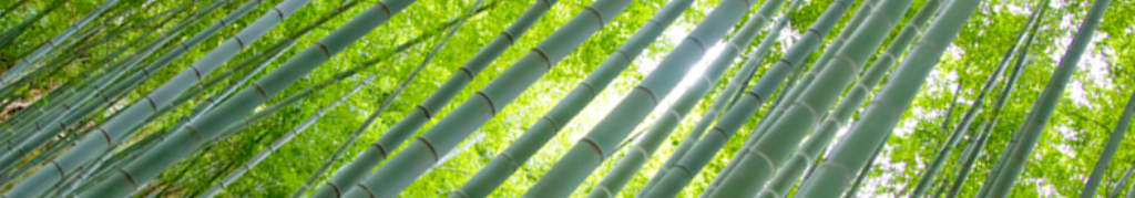 そうめんの最新ニュース